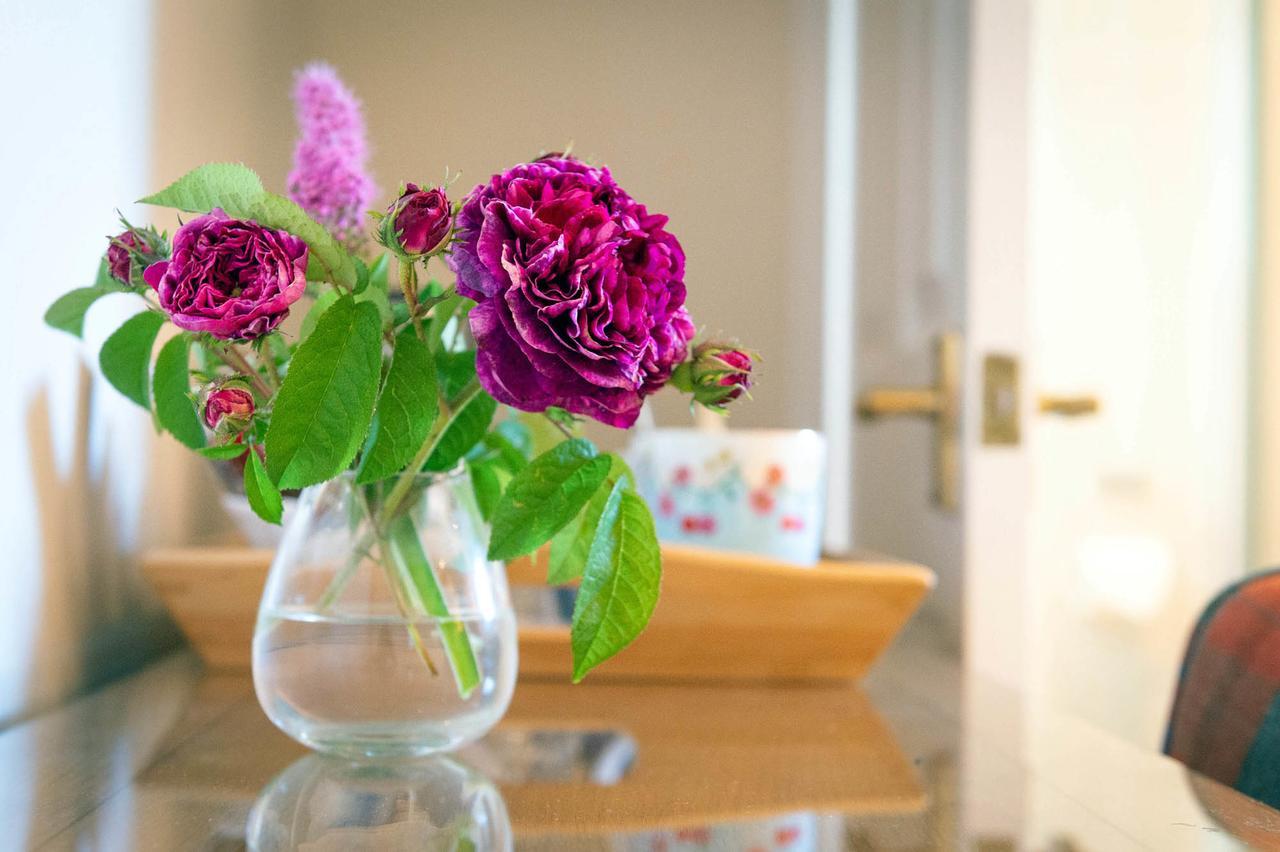 The Dinney B&B Bridgnorth Exteriér fotografie
